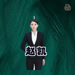 赵凯